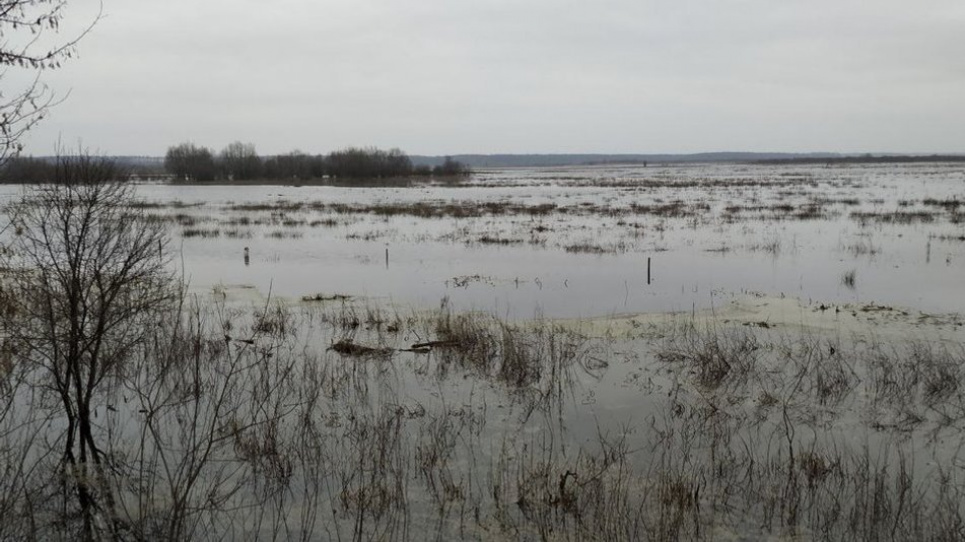 Підвищення рівня води в річках Закарпаття.
Фото ілюстративне