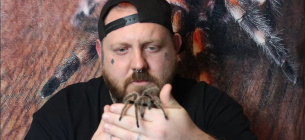 36-летний Аарон Феникс только за последний год спас более 100 пауков, добавленных в свою «пещеру тарантулов». Фото: SWNS