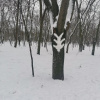 В Україну йде тепло, прогноз gогоди
Фото: Green Post