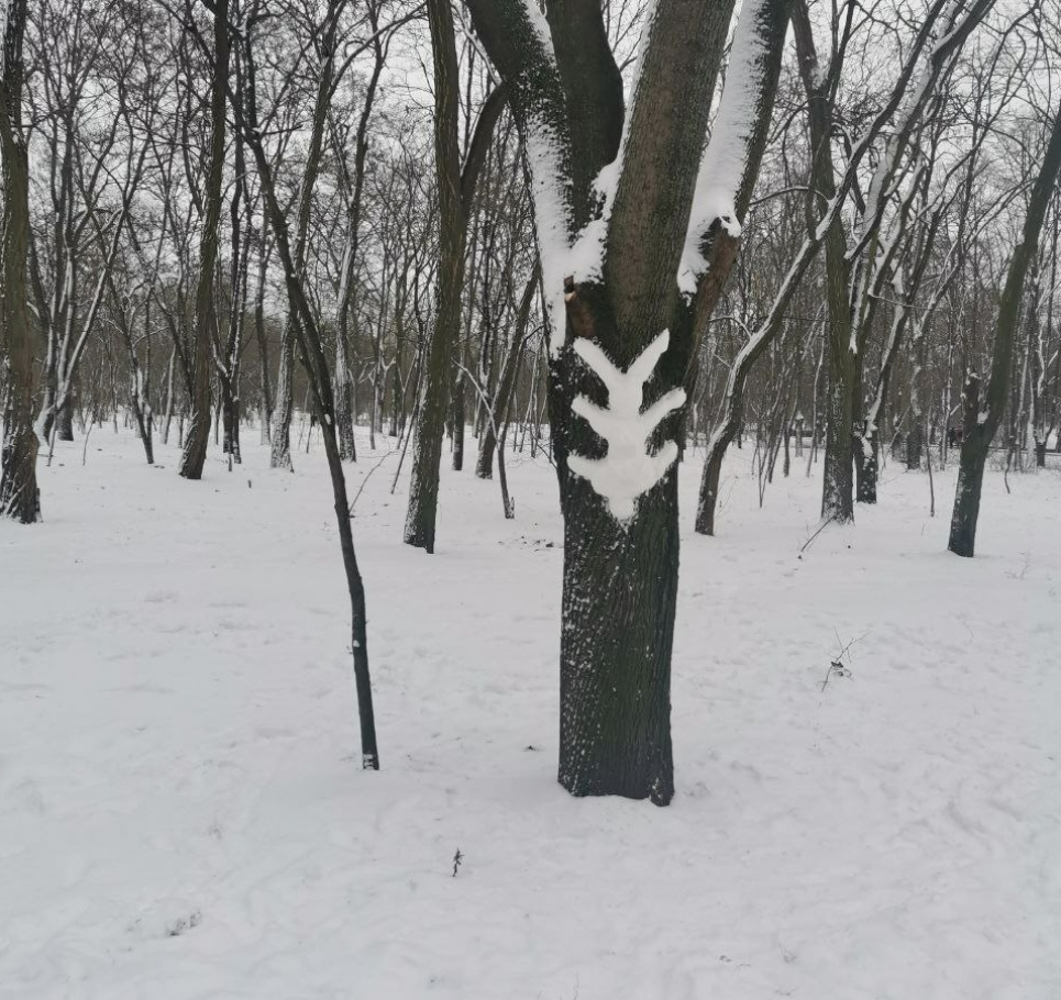 В Украину идет тепло, прогноз гогоды. Фото: Лариса Слободская