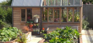 Ринок овочів 2026: перехід на сертифіковане насіння як ключ до фінансового зростання