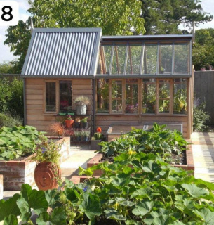 Ринок овочів 2026: перехід на сертифіковане насіння як ключ до фінансового зростання