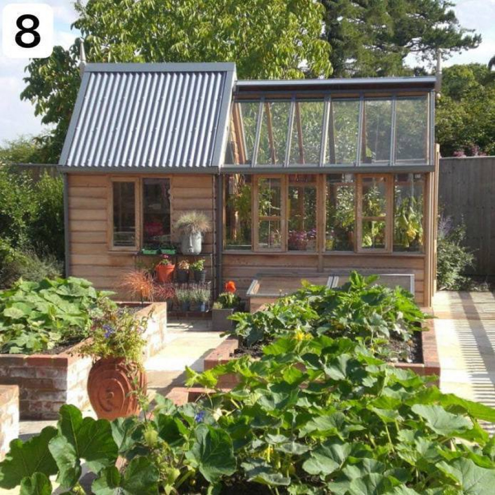 Ринок овочів 2026: перехід на сертифіковане насіння як ключ до фінансового зростання