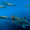 Ця ілюстрація 16-метрової акули Otodus megalodon, яка полювала від 5,4 до 2,4 млн років тому, за даними нового аналізу, є занадто кремезною і занадто короткою. Фото: J. J. Giraldo/AP/dpa