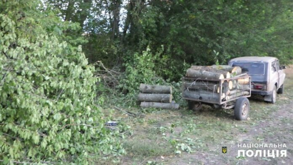 В Одесской области в лесозащитной полосе вырубили деревья ФОТО: прессслужба Нацполиции.