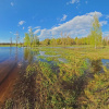 2 лютого свято День водно-болотних угідь