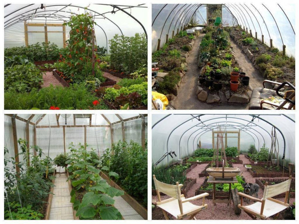 Створіть свою унікальну теплицю із задоволенням і творчістю (ФОТО) Фото: Телеграм-канал «Дача. Сад та город»