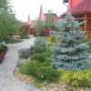 Фото: Телеграм-канал «Садівник»