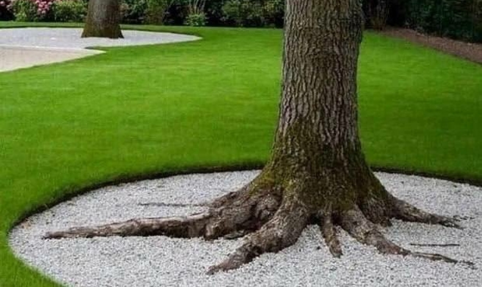 Як оформити пристовбурне коло: креативні ідеї (ФОТО) Фото: Телеграм-канал «Дача. Сад та город»