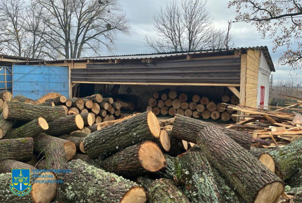 В Кировоградской области уничтожили сотню деревьев
