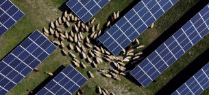Очевидно, что многие хотят больше инвестиций в устойчивое производство электроэнергии, как, например, здесь, в Рогане в Косово. Фото: Fatos Bytyci/Reuters