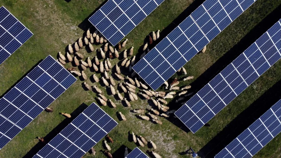 Очевидно, что многие хотят больше инвестиций в устойчивое производство электроэнергии, как, например, здесь, в Рогане в Косово. Фото: Fatos Bytyci/Reuters