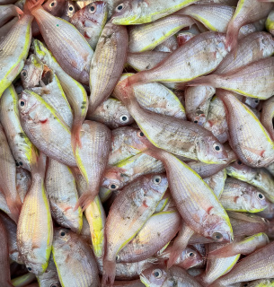 Погибшая рыба в Хмельницком районе