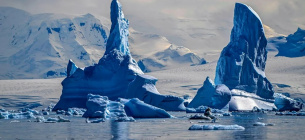 Айсберги в Антарктике в январе 2024 года. Фото: Juan Barretto/AFP/Getty Images