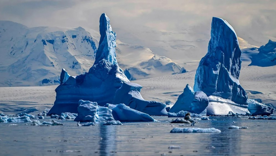 Айсберги в Антарктиці в січні 2024 року. Фото: Juan Barretto/AFP/Getty Images