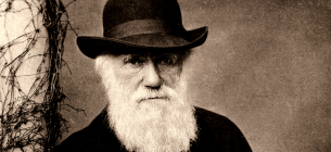 12 лютого світ відзначає День Дарвіна