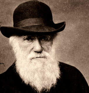 Всесвітній день Еволюції