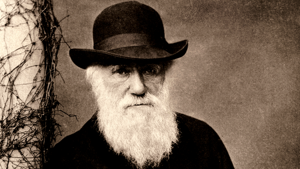 12 февраля мир отмечает День Дарвина