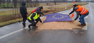 Знищення майна і порушення митної безпеки: прокуратура Польщі відкрила справу щодо розсипаного зерна на кордоні  Знищення українського зерна польськими протестувальниками