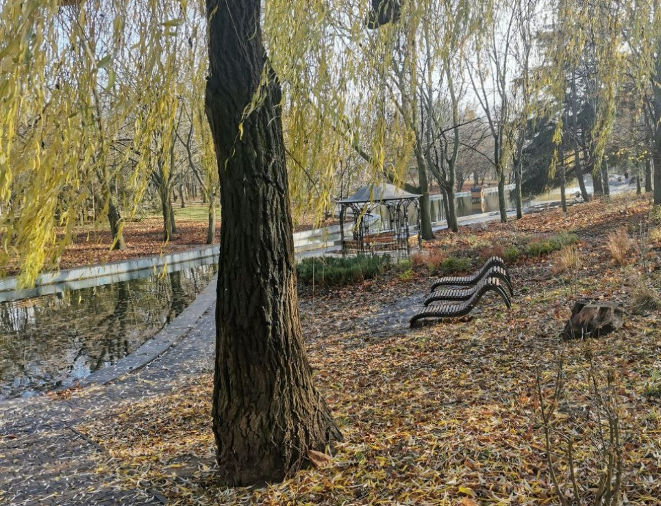 В Одесі планують створити два нові сквери.
Фото ілюстративне: Larysa Slobodska