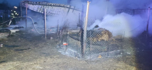 В Одесской области во время пожара погибли более 70 животных. Фото: ГСНС