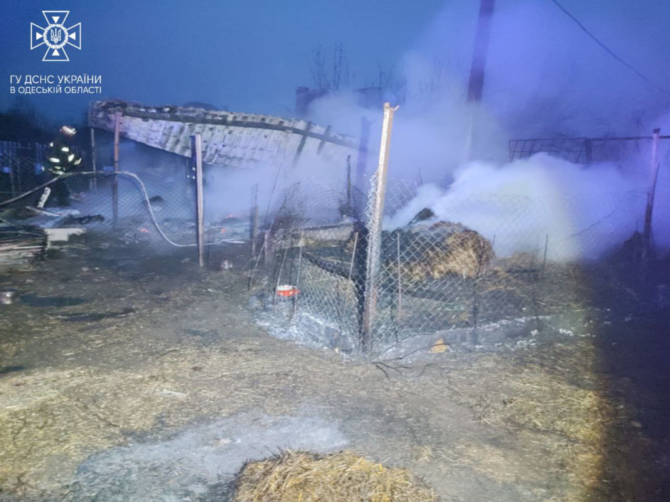 На Одещині під час пожежі загинули понад 70 тварин
Фото: ДСНС