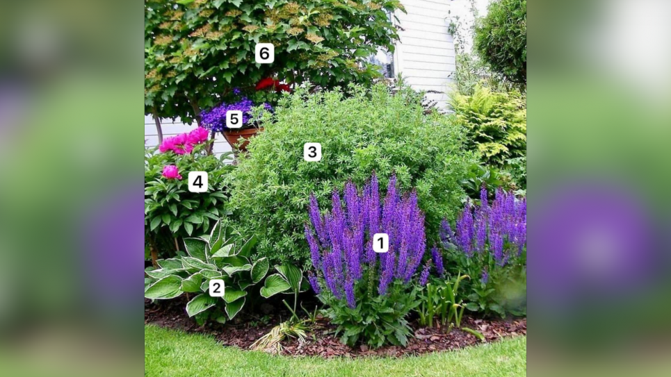 Стильний міксбордер із яскравими акцентами Фото: Телеграм-канал «Садівник»