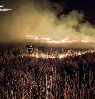 В Одесской области загорелся камыш площадью 1 га