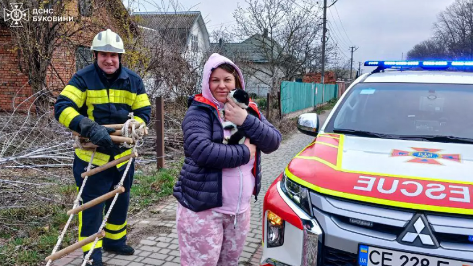 Буковинські рятувальники дістали кота з 8-метрової криниці (ФОТО) Рятувальники дістали з криниці кота. Фото: ДСНС Буковини