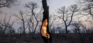 Лісова пожежа в Мандра, Греція (липень 2023 р.). Фото: Луїза Враді/Reuters