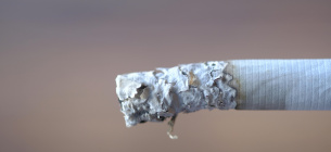 Контрафактні сигарети в Чернівцях: ділкам загрожує тюрма