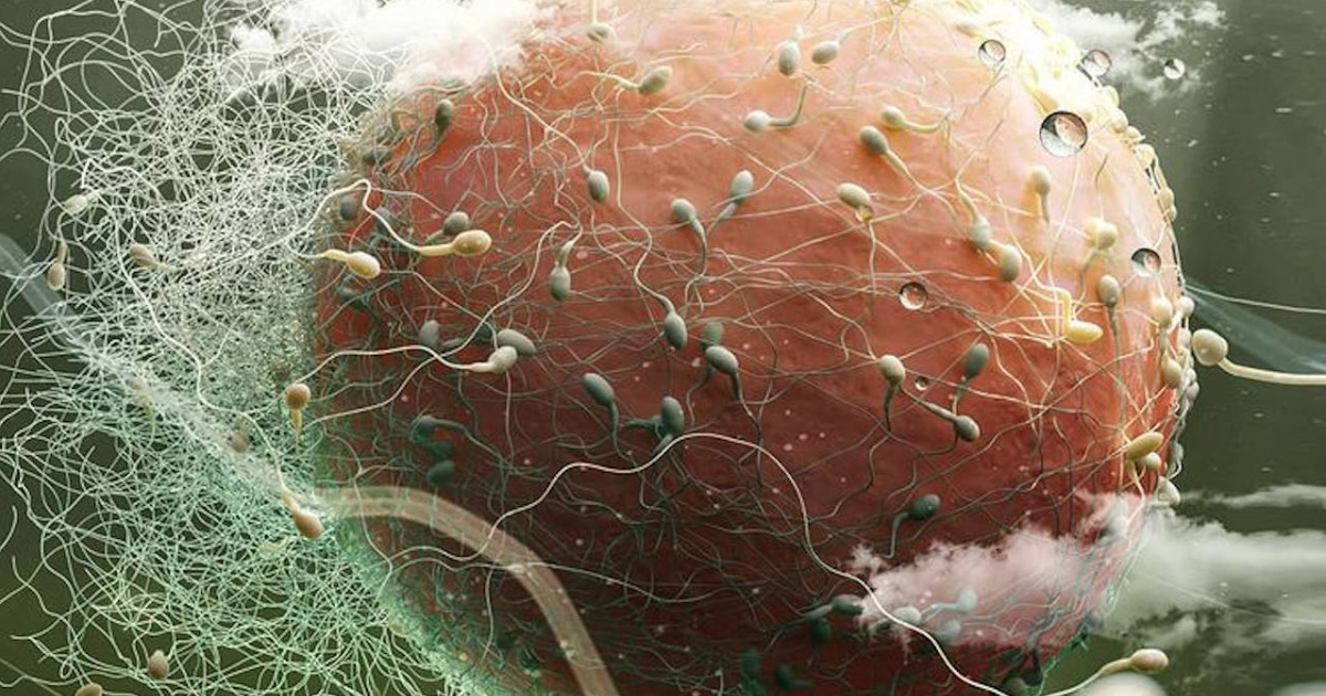 Жыныстық қатынаспен айналысатын қыздар