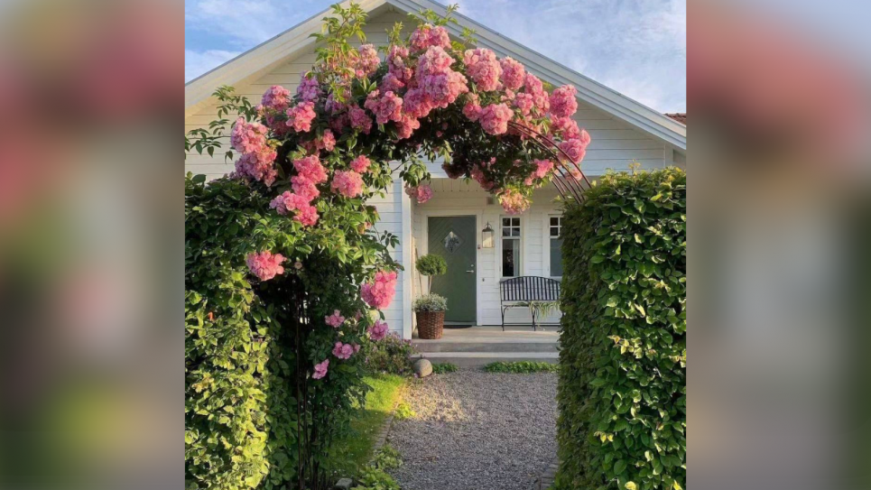 Садова арка, що додає ділянці романтики: ідеї та поради для вашого саду Фото: Телеграм-канал «Дача. Сад та город»