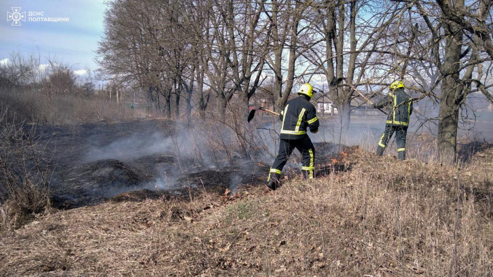 На Полтавщині вигоріли майже 300 га сухостою: як діяти у разі лісових, степових та торф’яних пожеж Як діяти, коли горить ліс і торф