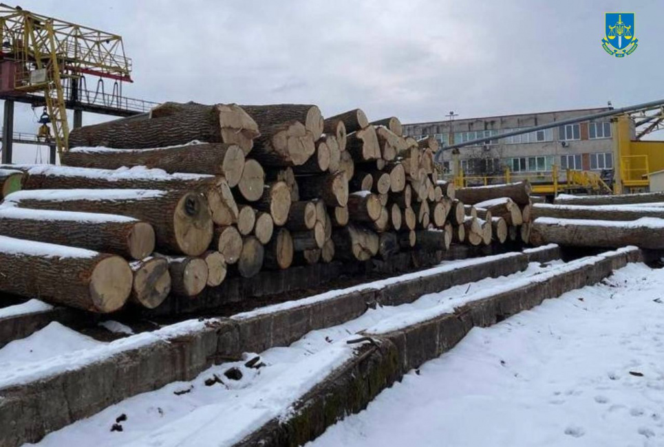 Посадовці зрубували сторічні дуби в Чорнобильському заповіднику