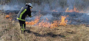 На Ровенщине удалось оперативно потушить пожар в экосистеме