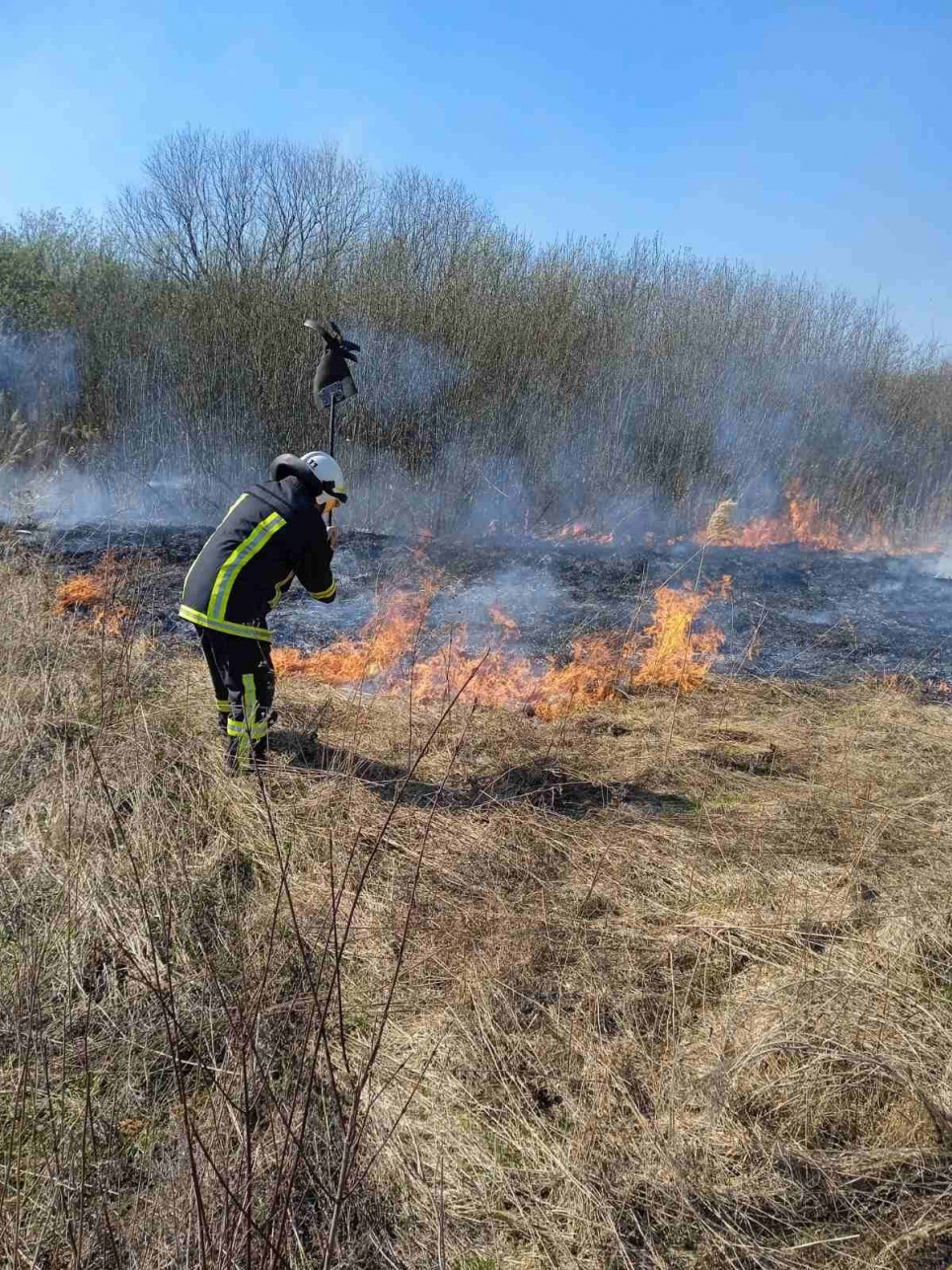 На Ровенщине удалось оперативно потушить пожар в экосистеме