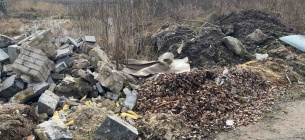 Стихійне сміттєзвалище у Житомирі 