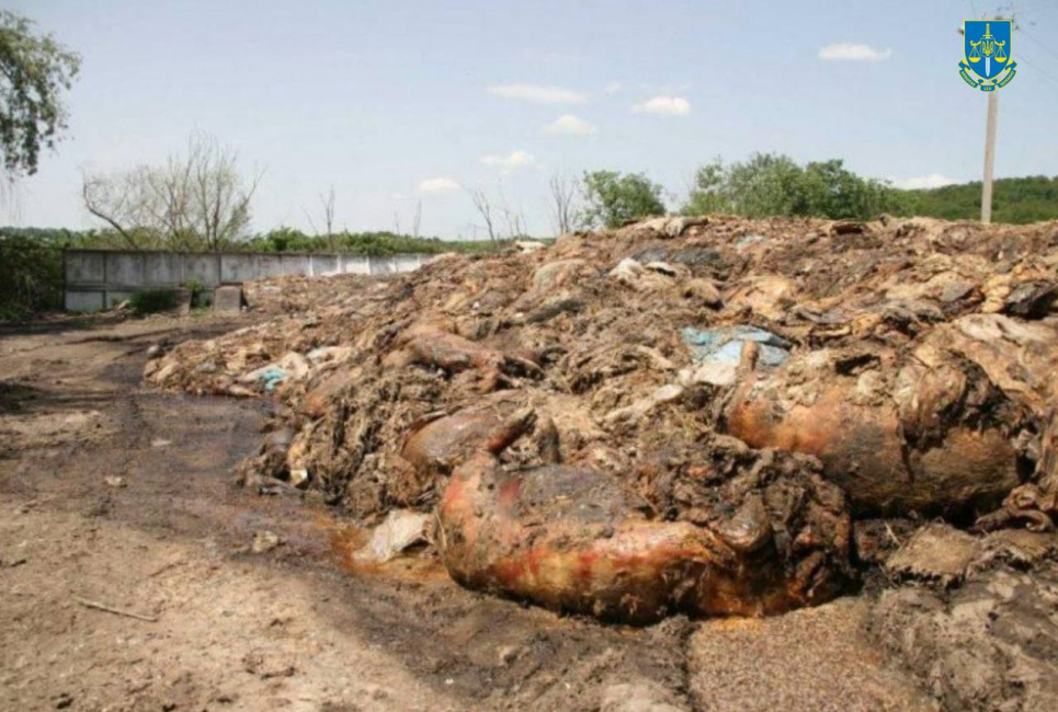 Забруднення тушами померлих тварин понад 1,3 гектари земель