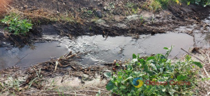 В Одесской области консервный завод загрязнил почву