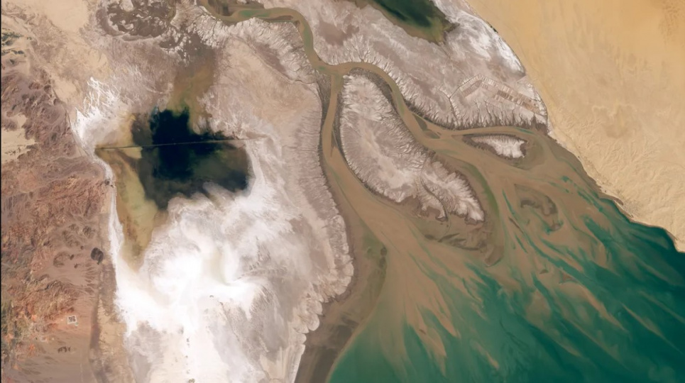 Багато пишних лагун у дельті річки Колорадо перетворилися на солончаки. Зображення Обсерваторії Землі NASA. Фото: Лорен Дофін (Lauren Dauphin), з використанням даних Landsat від Геологічної служби США
