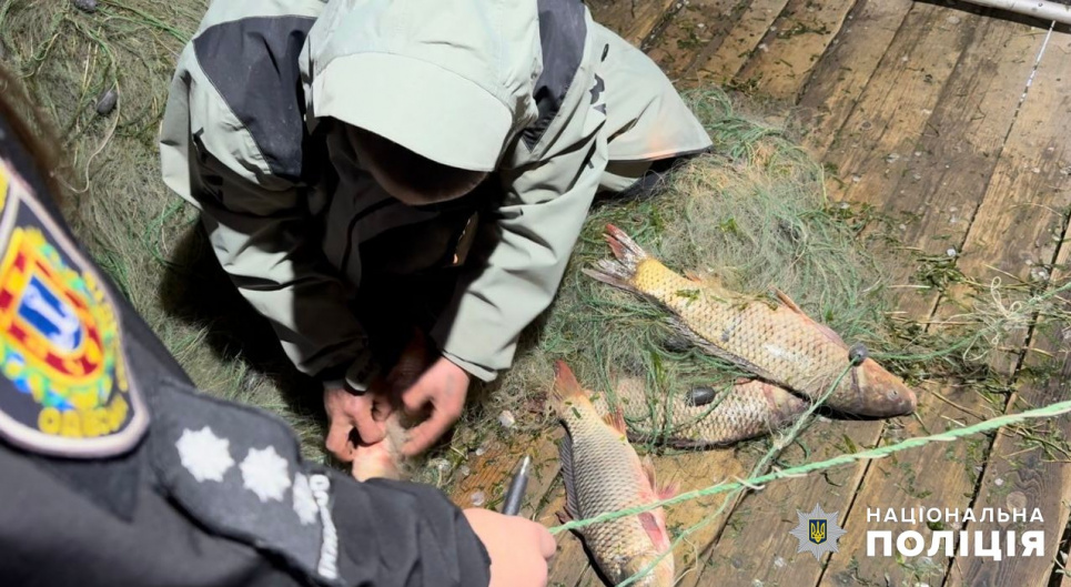  Браконьеры наловили рыбы на более 250 тыс. грн
