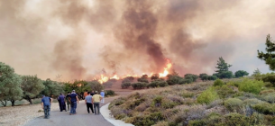 Грецию охватили более 70 лесных пожаров