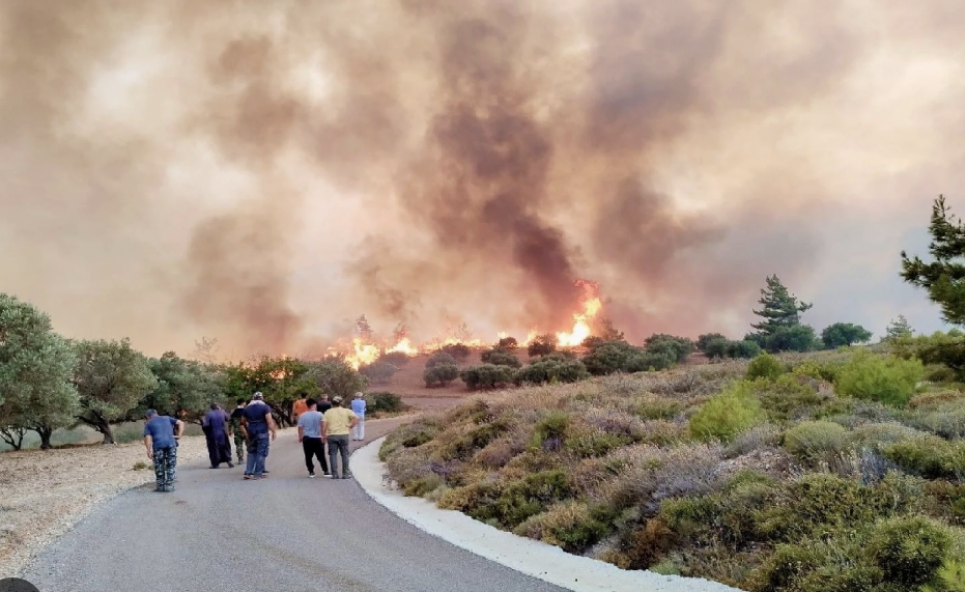 Грецію охопили понад 70 лісових пожеж.
Фото з відкритих джерел