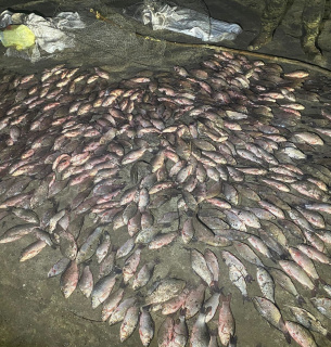 Браконьер Ущерб государству Рыбалка