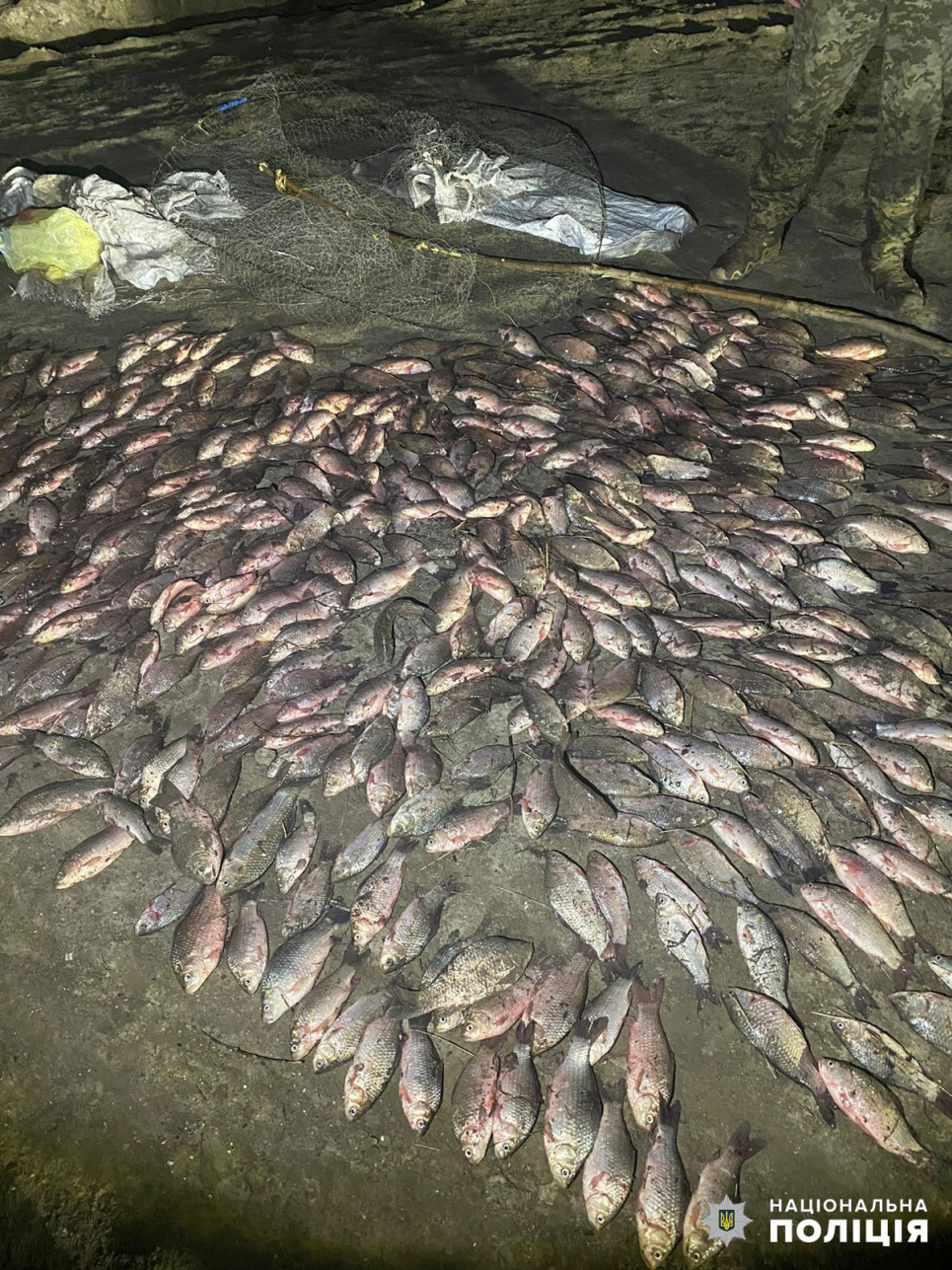 Браконьер Ущерб государству Рыбалка