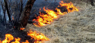 Опасность возникновения пожаров на Буковине