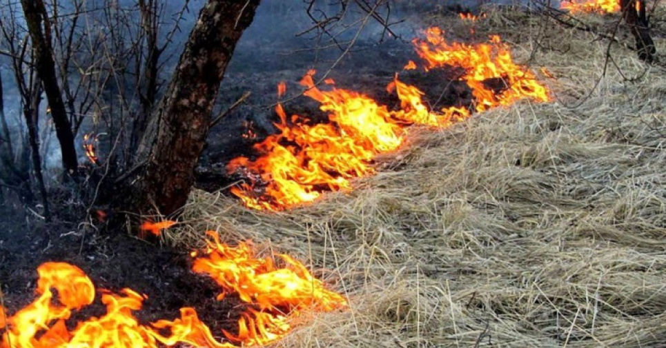 Небезпека виникнення пожеж на Буковині