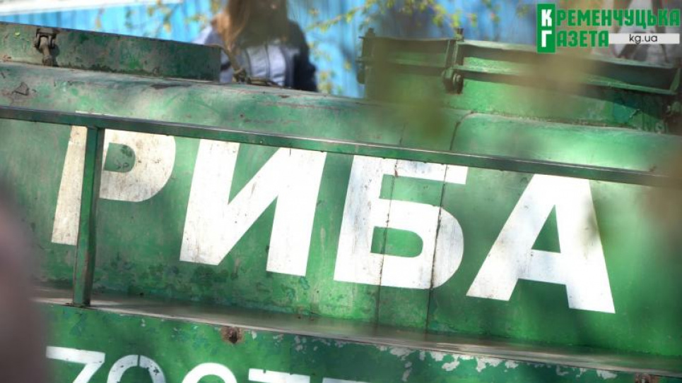 Полтавщина - первая область, которая начала проводить зарыбление в Украине Полтавщина начала проводить зарыбление