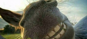 Головне завдання 2026 року: як прожити його максимально усвідомлено Головне завдання 2026 року: Планування, цілі та 3 інсайти для усвідомленого життя